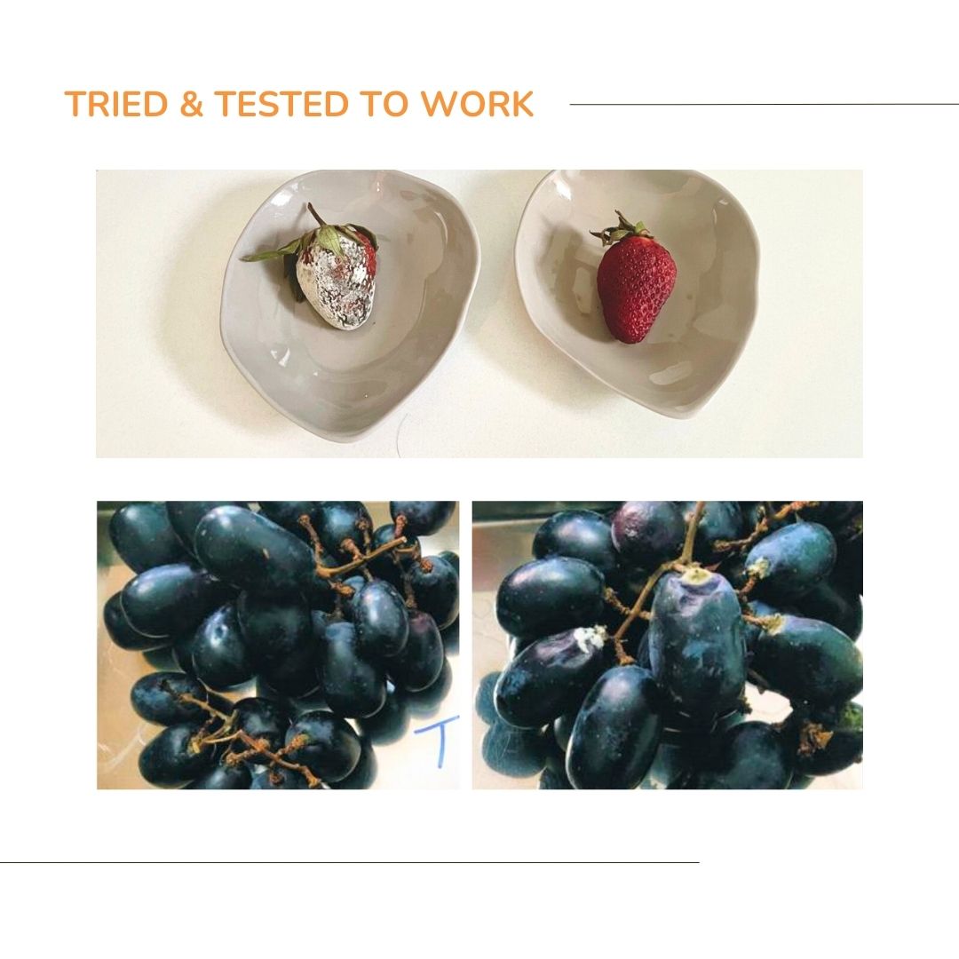 Free Gift - Organic Fruit & Vegetable Wash